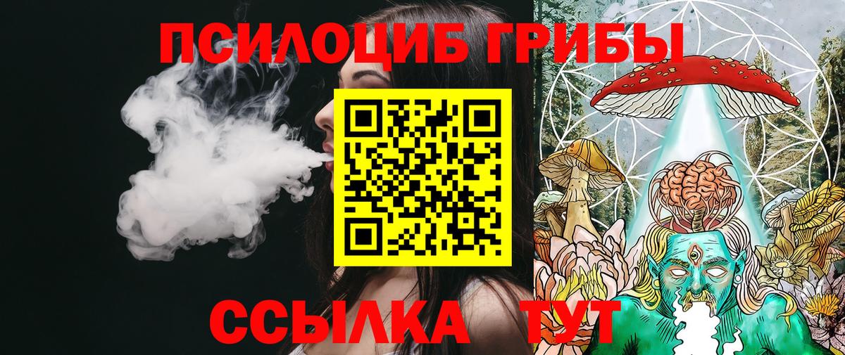 Псилоцибиновые грибы GOLDEN TEACHER Зима
